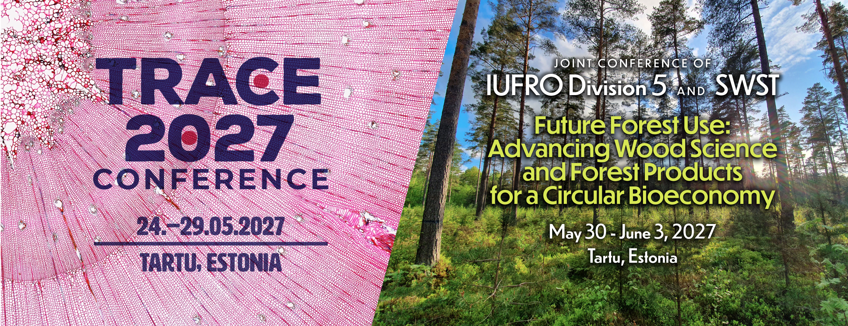 Conference Banner